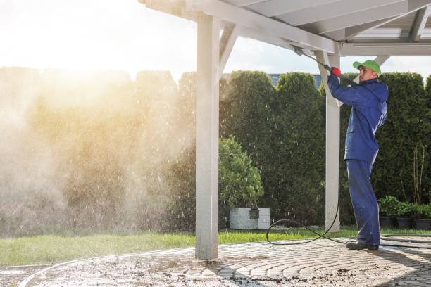 Best Sign and Awning Cleaning  in Mapleton, MN