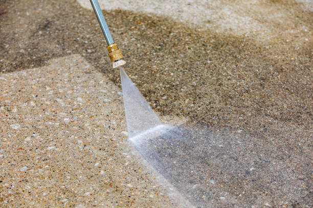 Best House Exterior Washing  in Mapleton, MN