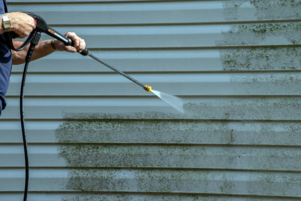 Best Restaurant Pressure Washing  in Mapleton, MN