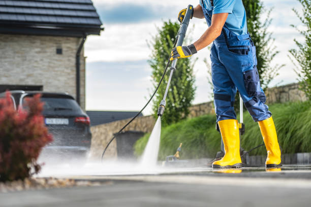 Best Fence Cleaning  in Mapleton, MN
